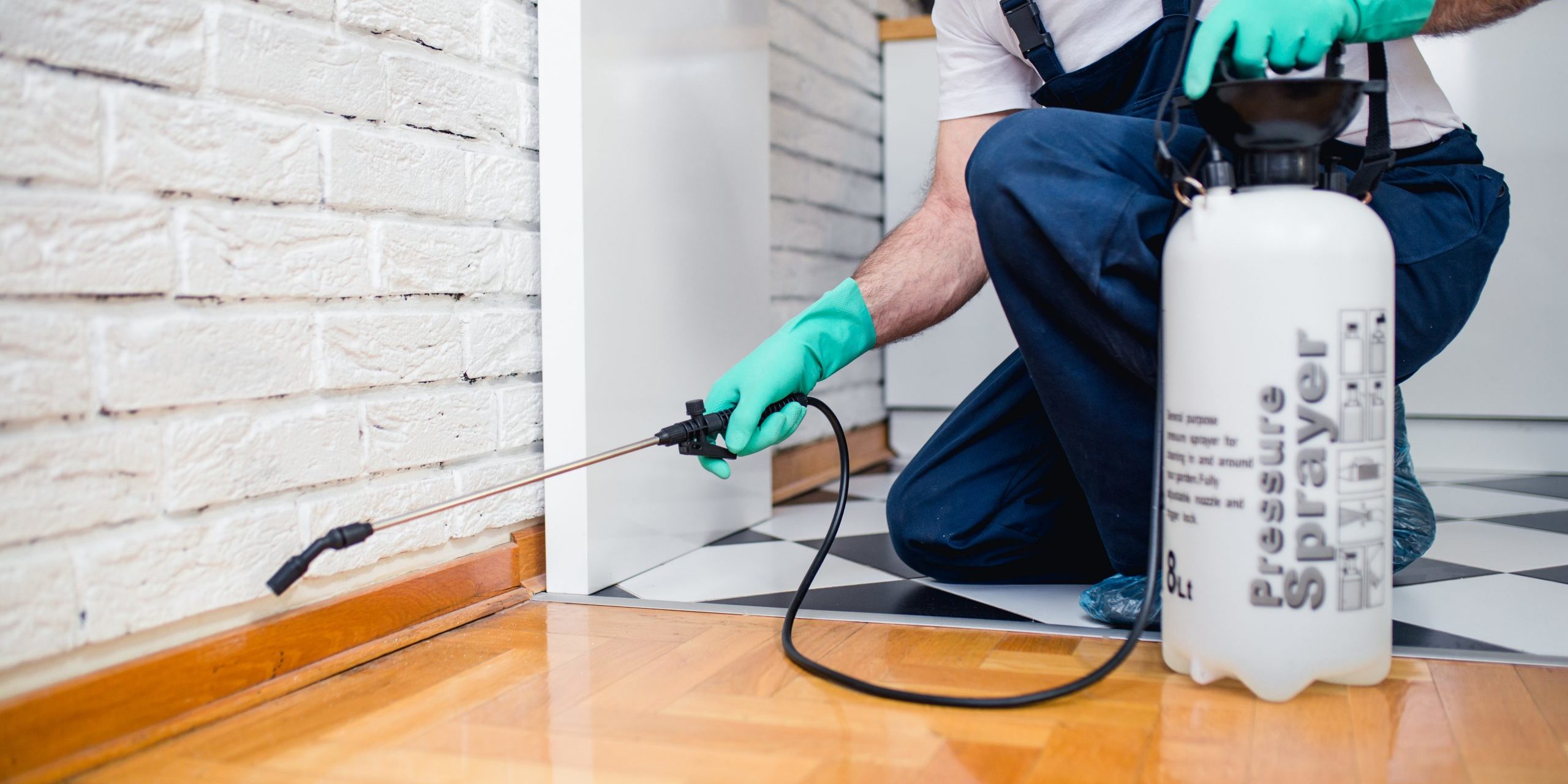 home pest control