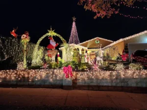 Outdoor Christmas Lighting