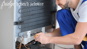 fridge repair service