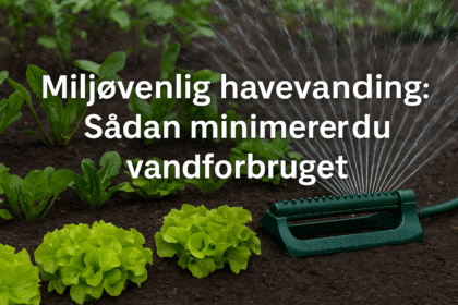 havevanding