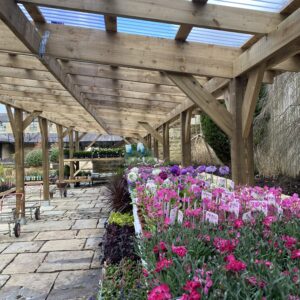 Nearest Garden