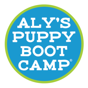 In-Person Dog Training