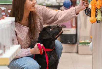 best dog treats