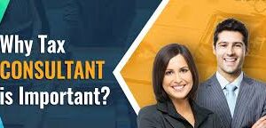 GST Refund consultant