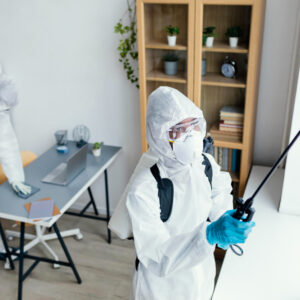 Safe Home Pest Control