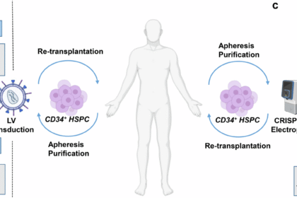 Thalassemia Treatment in India: Affordable, Comprehensive Care for Patients Worldwide