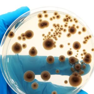 Biosurfactants