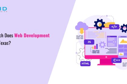 How Much Does Web Development Cost in Texas