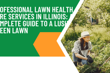 Professional Lawn Health Care Services in Illinois | Year-Round Lawn Care Experts