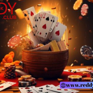 Reddy Book Club