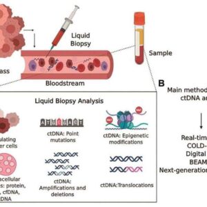 ctdna-vs-cfdna-pic4