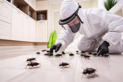 pest control