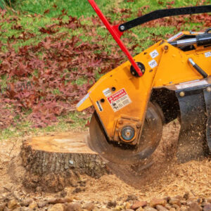 Tree stump removal
