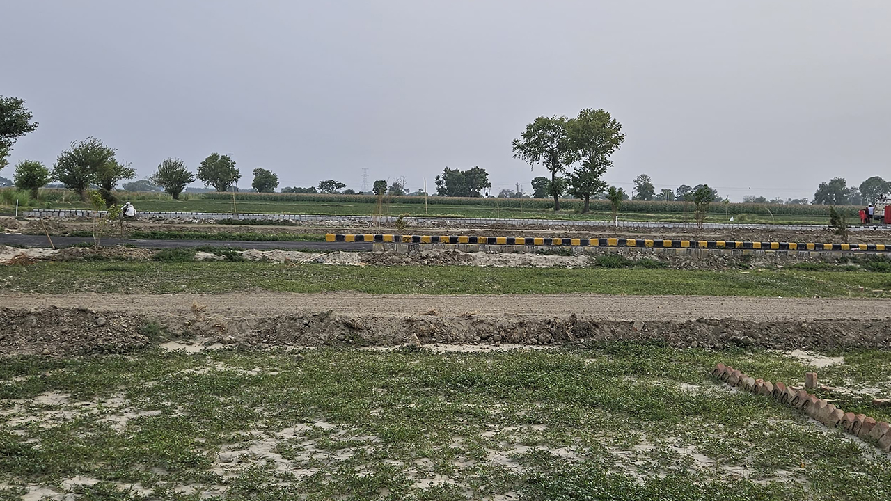 Plot in Noida