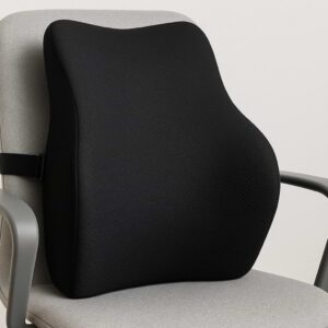 Best Pillow for Back Support