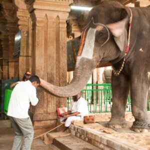 Srirangapatna Karnataka