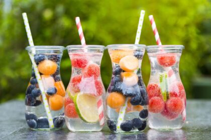 Fruit-Flavored Carbonated Water Manufacturing Plant