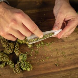 How to Defoliate Cannabis