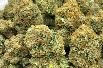 bulk weed