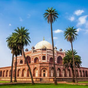 private tour delhi