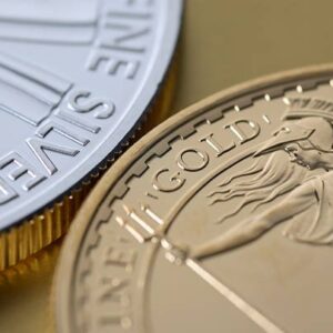 gold coin