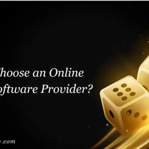 How to Choose an Online Casino Software Provider
