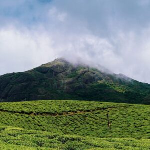 8 days kerala spice tour package
