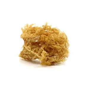 you can buy best sea moss from essentia-seamoss