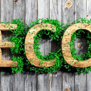 ECO4 Grant