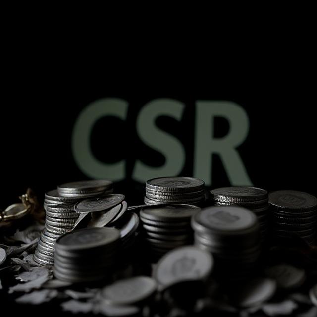 CSR Consultants in India