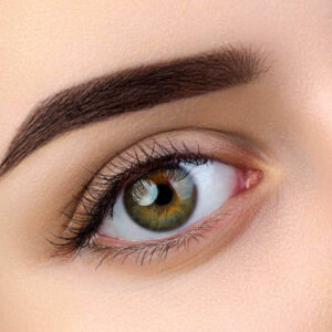 Achieve Perfectly Shaped Brows That Last