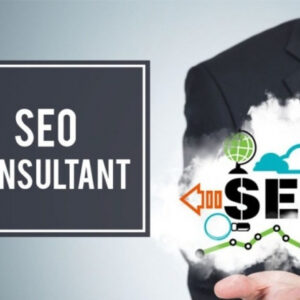 SEO Consultant