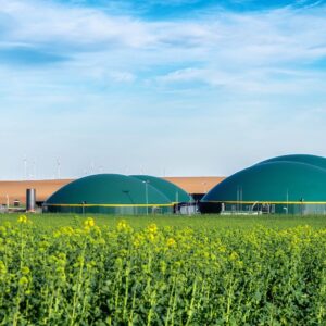 bio-energy manufacturing plant