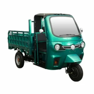 Electric Auto Dealership