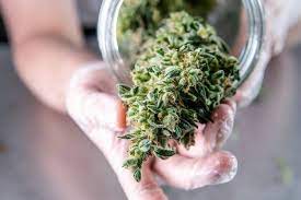 Buying weed online