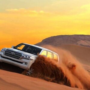 Best Desert Safari Dubai