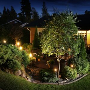 Landscape Lighting Ideas