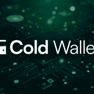 best cold wallet