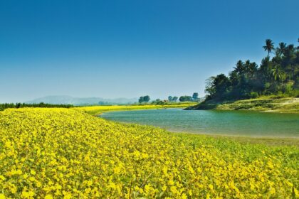 shillong tour package price