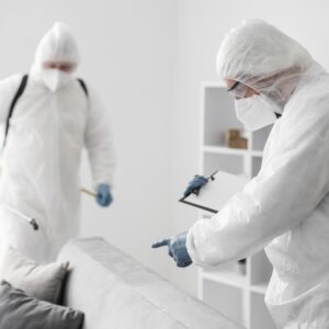 Are Eco-Friendly Pest Solutions Effective?