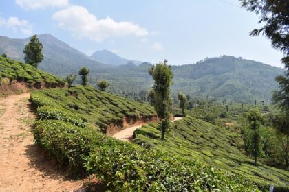 11 days south india tour