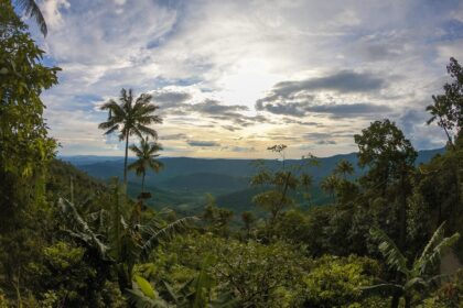 8 days kerala spice tour package