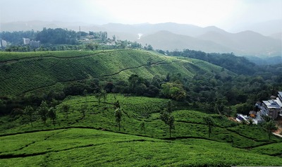 9 days kerala luxury honeymoon tour