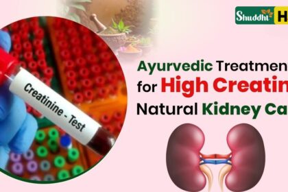 Ayurvedic Treatment for High Creatinine