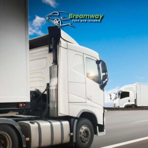 Snowbirds Auto Transport Services