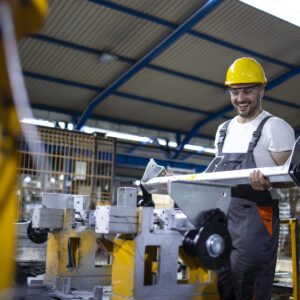 Original equipment manufacturer in India