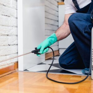 home pest control