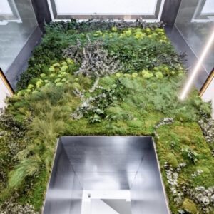 Jardín Vertical Diseño