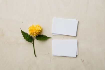 business card design las vegas