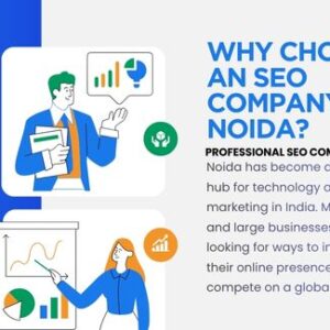 SEO Company in Noida